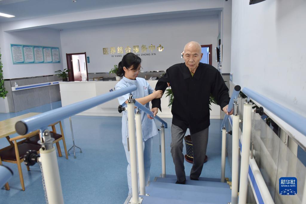 狗博是什么