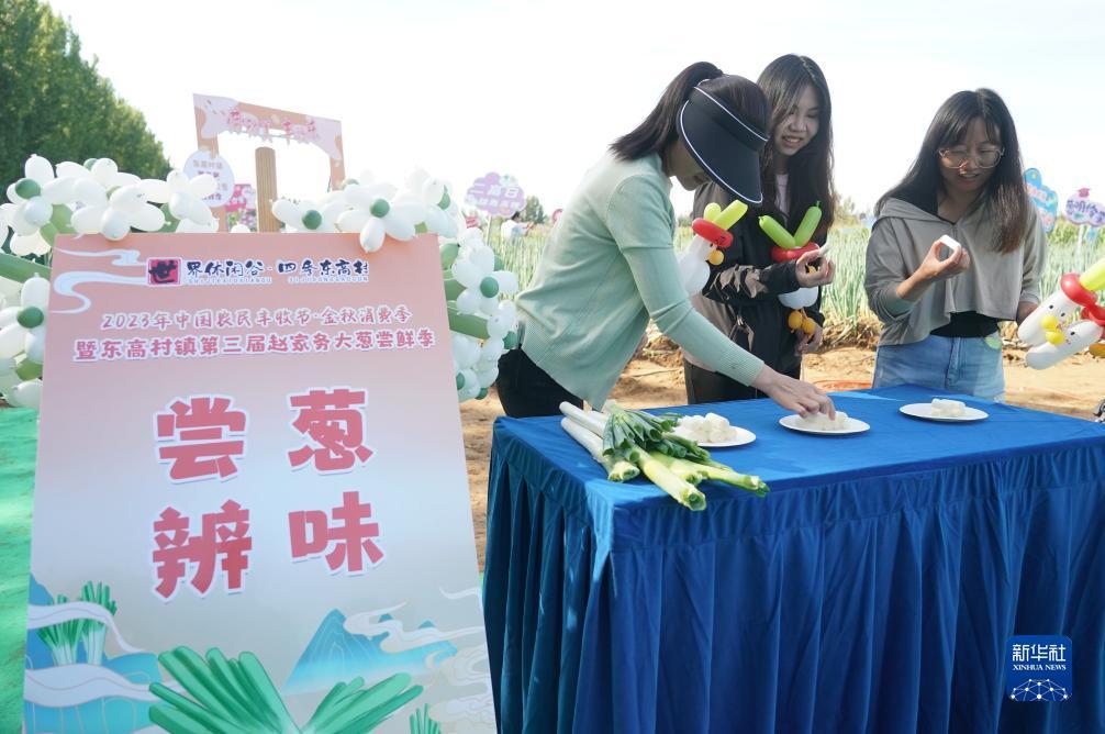 38238com尼斯人